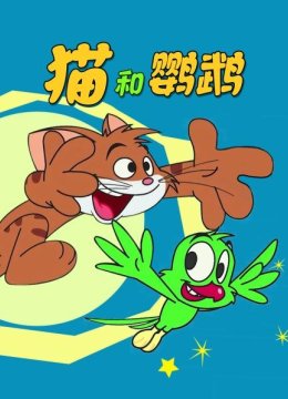 猫和鹦鹉
