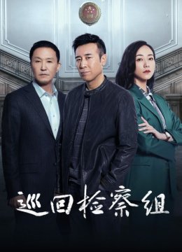 巡回检察组TV版