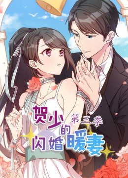 贺少的闪婚暖妻第3季