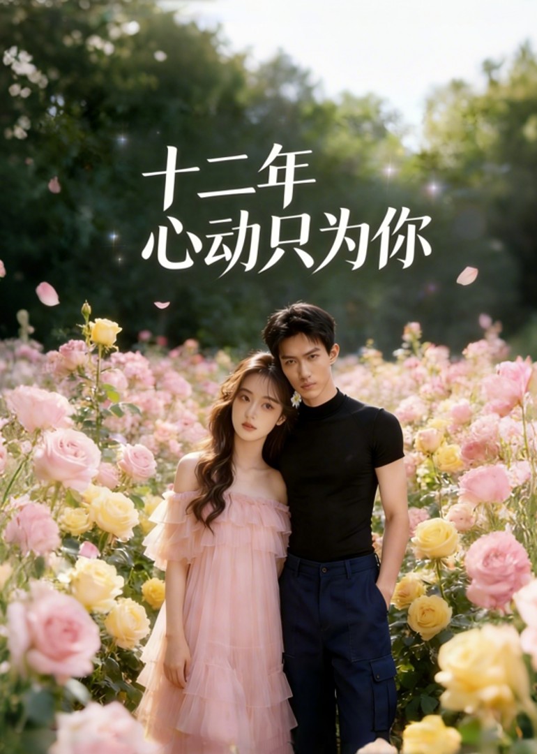 十二年心动只为你