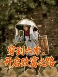 穿到六零开启致富之路
