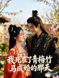 我死在了青梅竹马成婚的那天