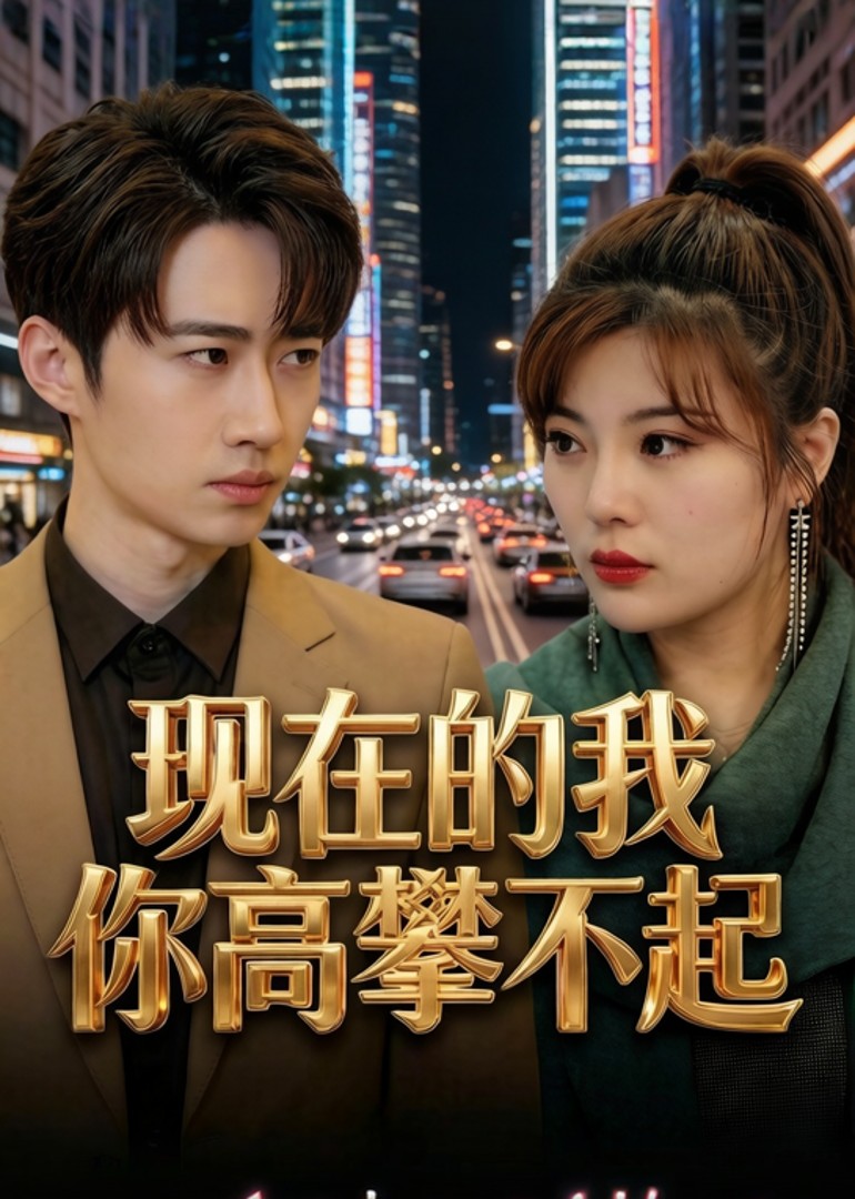 现在的我你高攀不起