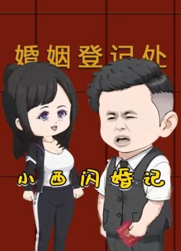 小西闪婚记