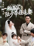 一胎三宝陆少带娃追妻
