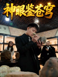 神眼鉴苍穹
