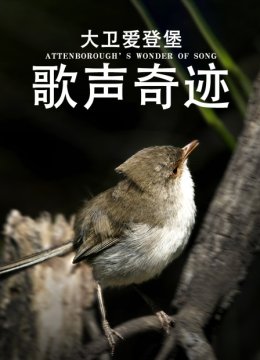 大卫爱登堡歌声奇迹