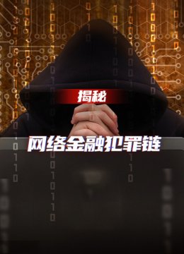 揭秘网络金融犯罪链
