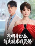 亮明身份后，前夫跪求我复婚