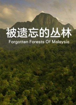 被遗忘的丛林