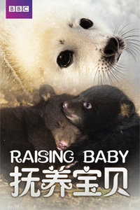 抚养宝贝