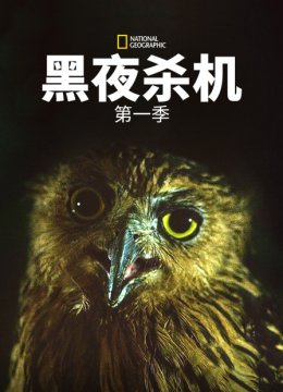黑夜杀机第1季