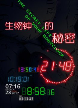 生物钟的秘密