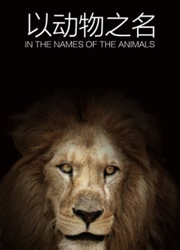 以动物之名