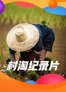 村淘纪录片