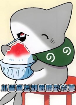 小鲨鱼去郊游精彩分享