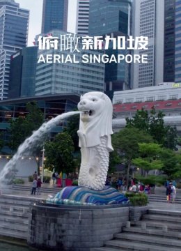 俯瞰新加坡