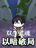 双生武魂以暗破局