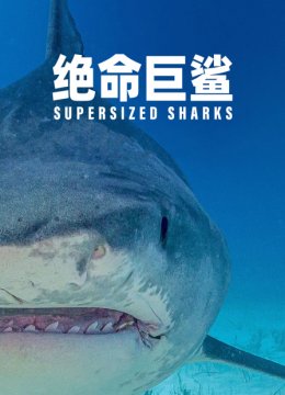 绝命巨鲨
