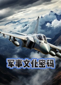 军事文化密码
