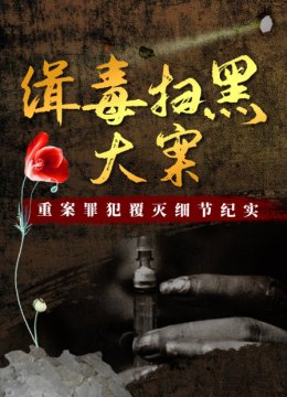 缉毒扫黑大案重案罪犯覆灭细节纪实