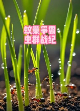 蚁巢争霸虫群战纪
