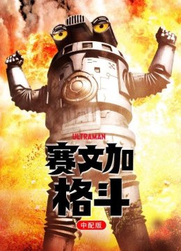 赛文加格斗中配版