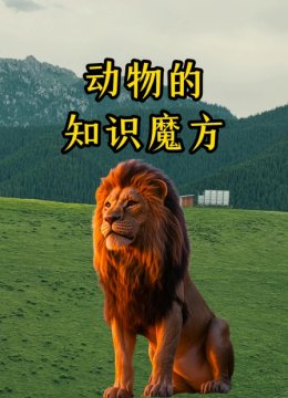 动物的知识魔方