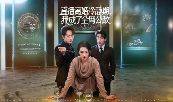 直播离婚冷静期，我成了全网公敌