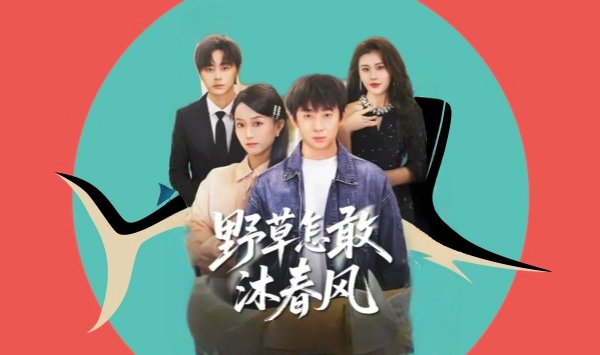 野草怎敢沐春风