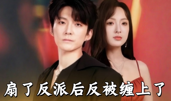 扇了反派后反被缠上了
