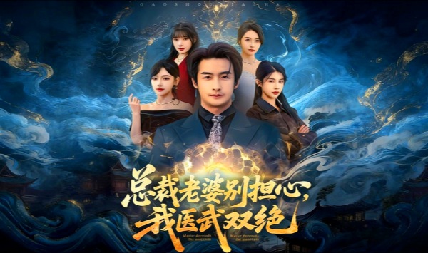 总裁老婆别担心，我医武双绝