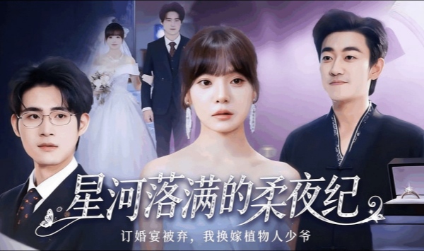 星河落满的柔夜纪
