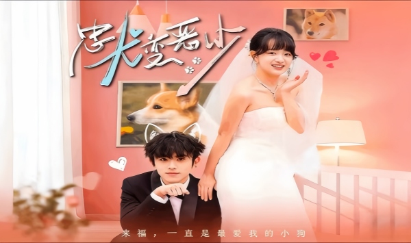 惊！我家来福变恶少了