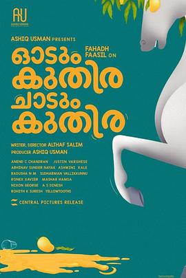 一匹马奔跑一匹马跳跃