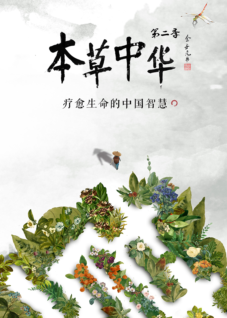 本草中华第2季
