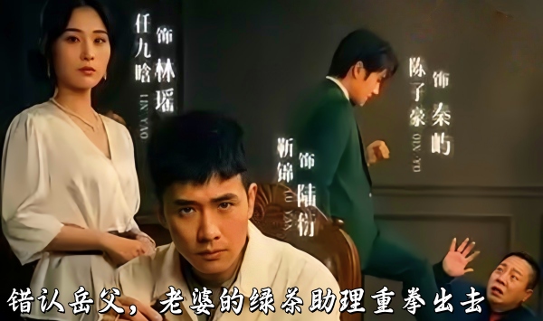 错认岳父，老婆的绿茶助理重拳出击