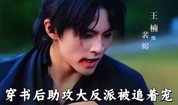 穿书后助攻大反派被追着宠