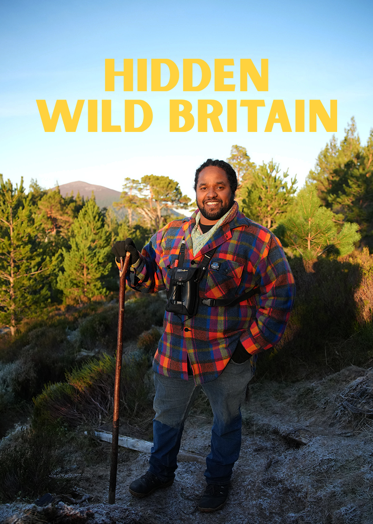 隐秘野性不列颠