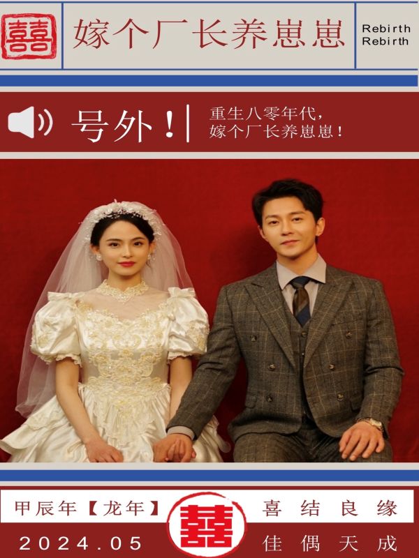 嫁个厂长养崽崽