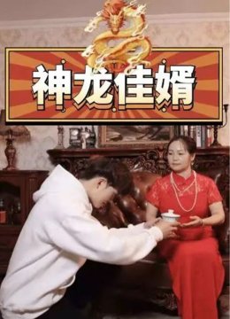 神龙佳婿