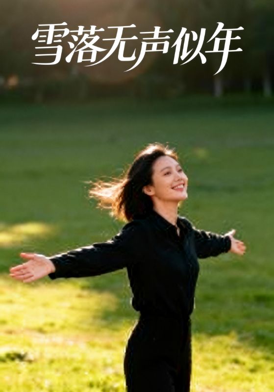 雪落无声似年