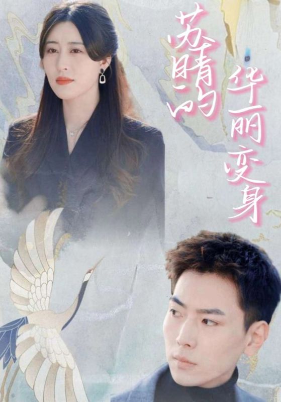 苏晴的华丽变身