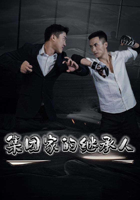 集团家的继承人