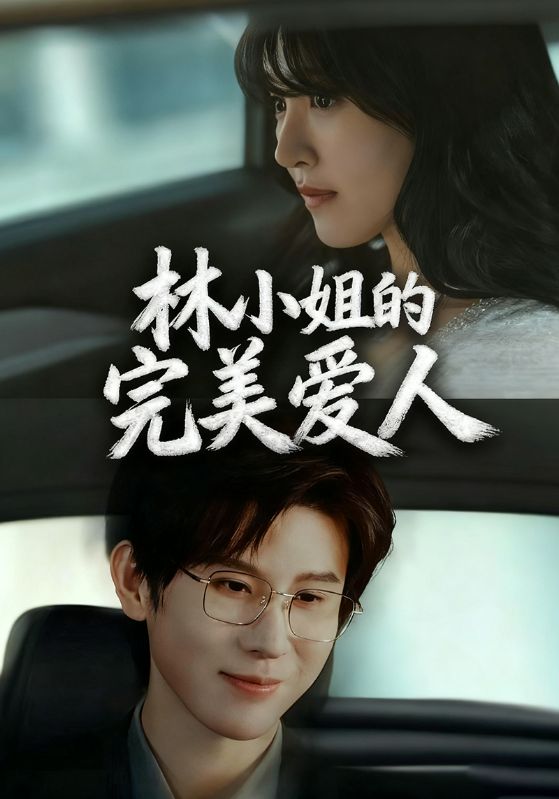 林小姐的完美爱人