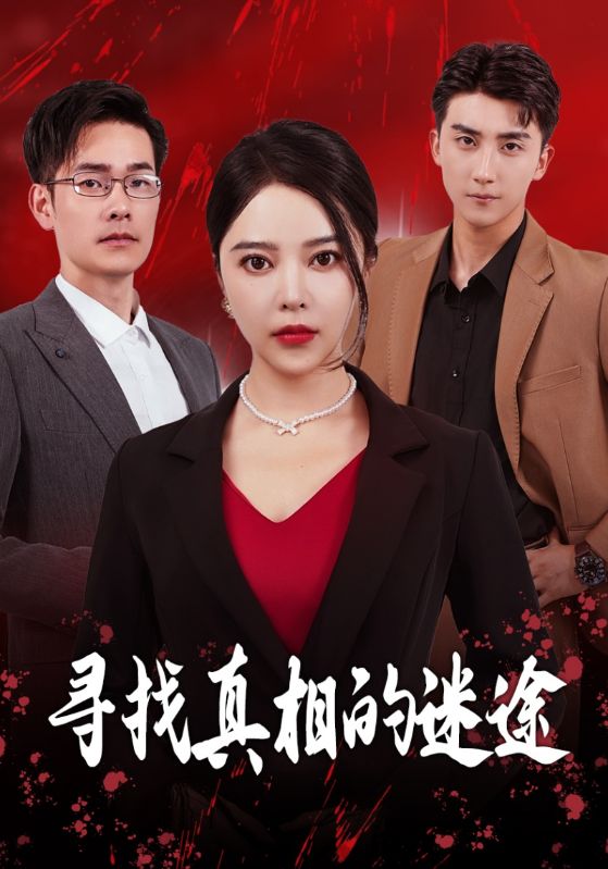 寻找真相的迷途