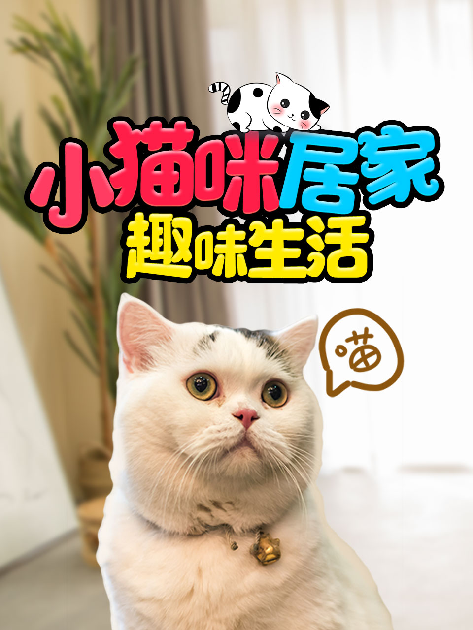 小猫咪居家趣味生活