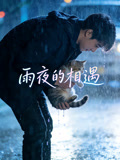 雨夜的相遇
