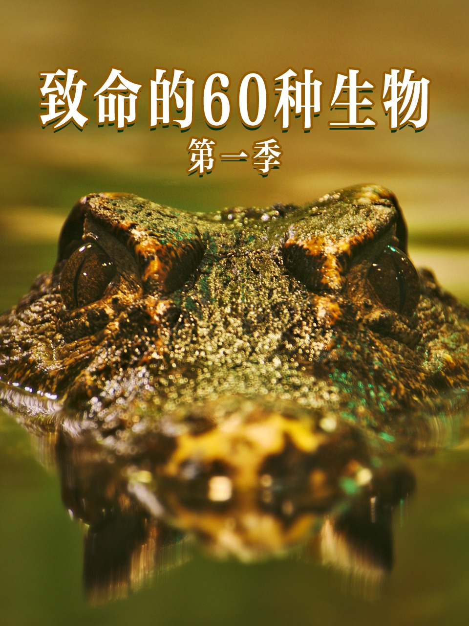 致命的60种生物第1季