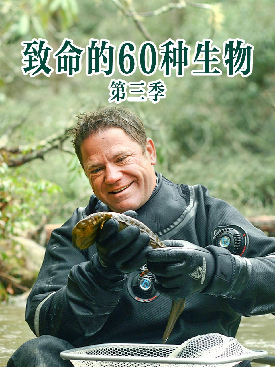 致命的60种生物第3季